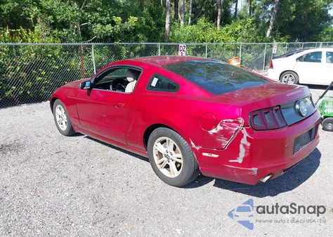 2014 Ford Mustang z USA, uszkodzony, nr VIN 1ZVBP8AM9E5230941